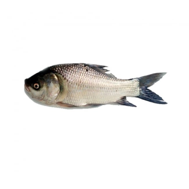 Thaila Fish per 2KG