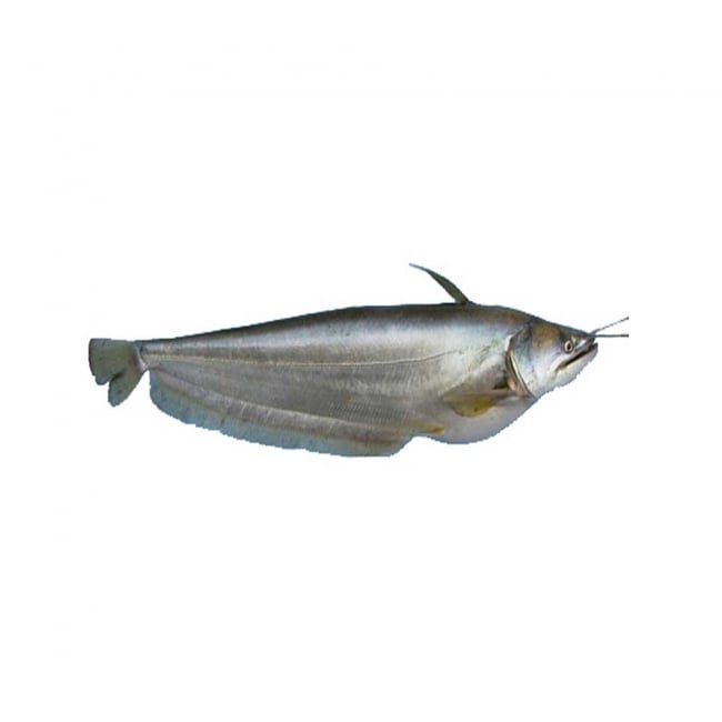 Malli Fish 1KG
