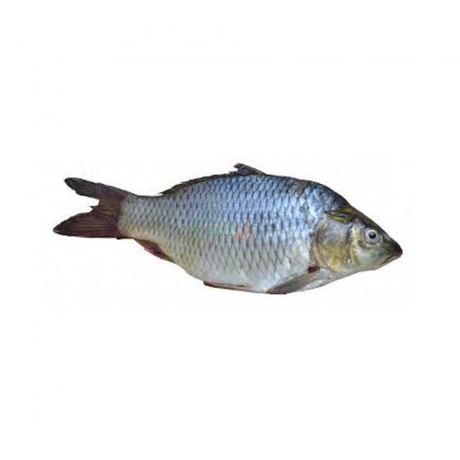 Sonab 1KG