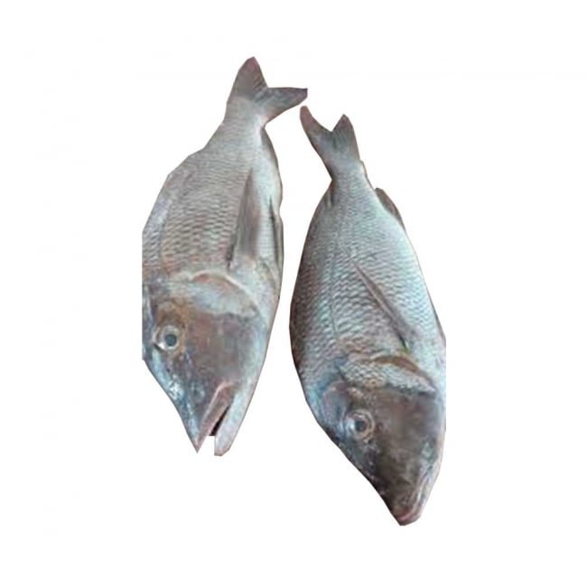 Mulla 1KG