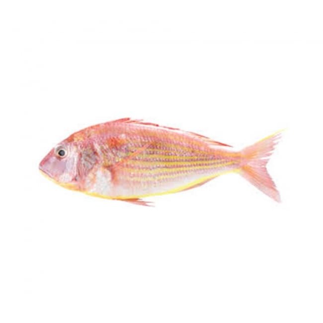 Chakori Fish 1KG