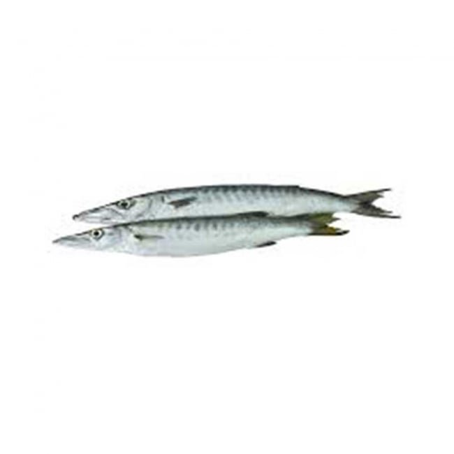 Kund - White 1KG