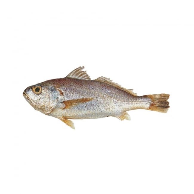 Sua Fish per KG (Approx 3+ KG)