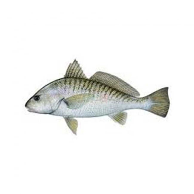 Bohra Mushka Fish per 1KG