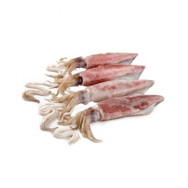 Squid Whole 1KG