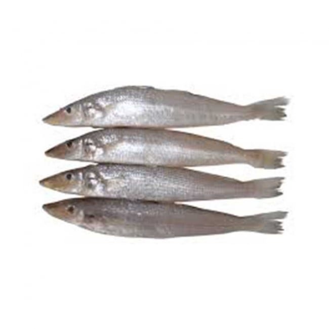 Lady Fish 1KG
