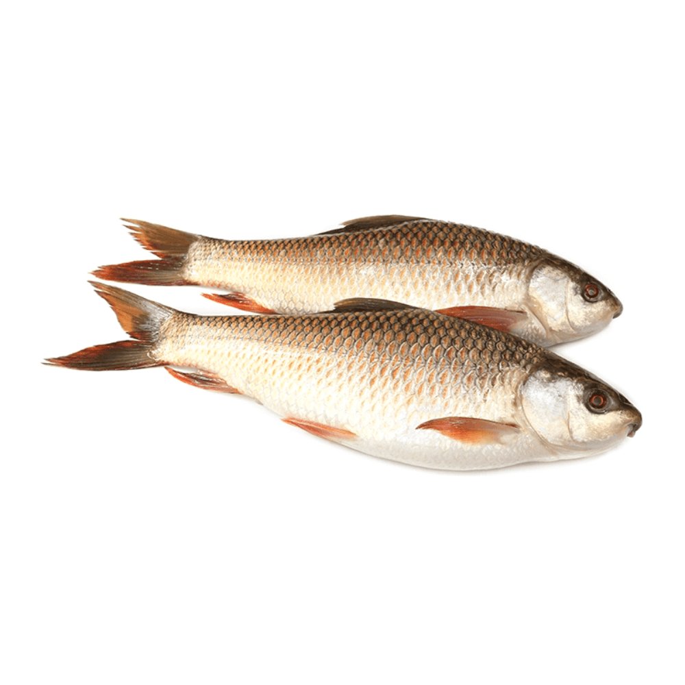 Rohu Fish Per 2KG (1500-2000GM PC)