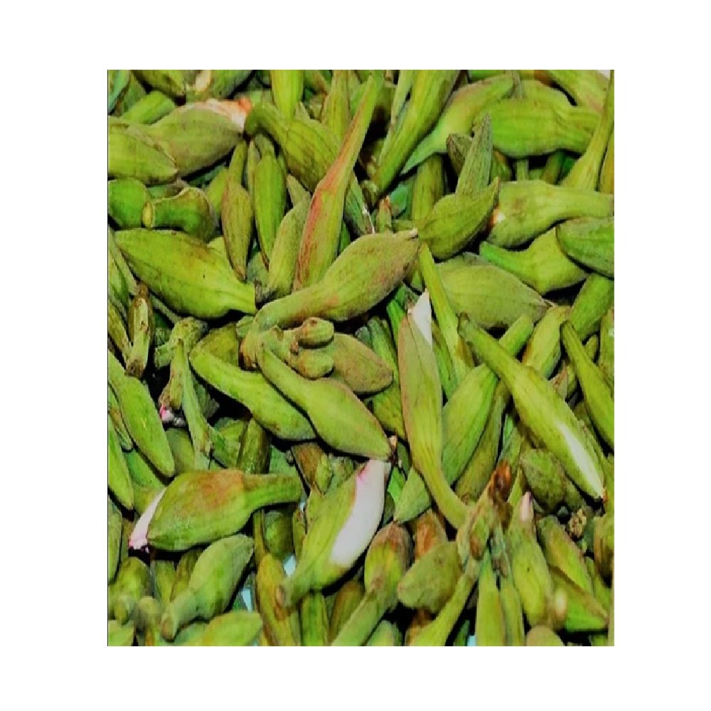 Kachnar per 250gm